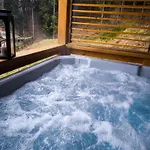 Villa Wilk Międzybrodzie Bialskie