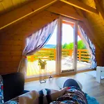 Wilk * Międzybrodzie Bialskie