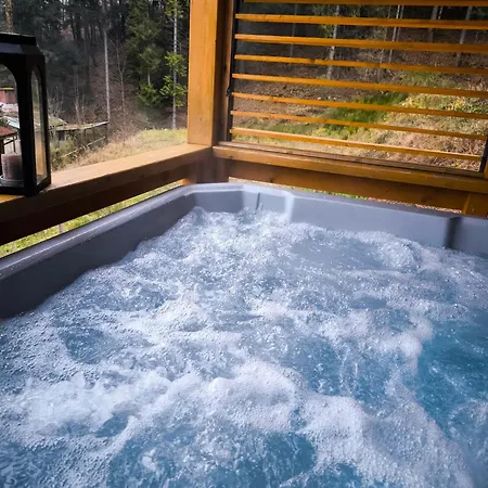 Villa Wilk Międzybrodzie Bialskie