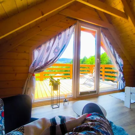 Wilk * Międzybrodzie Bialskie