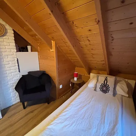 Villa Wilk Międzybrodzie Bialskie