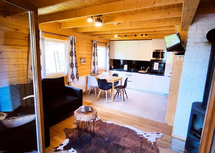 Villa Wilk Międzybrodzie Bialskie