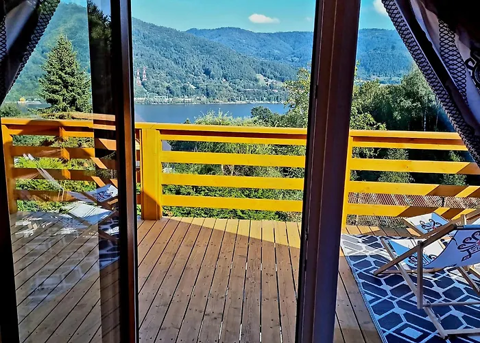 Wilk Międzybrodzie Bialskie